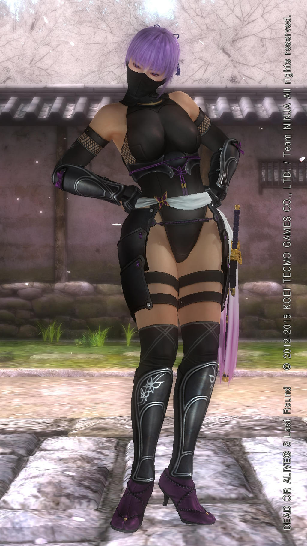 119447-Ayane-Costume-9446-from-Dead-or-Alive-3.jpg
