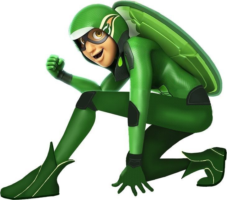 Miraculous Carapace Costume