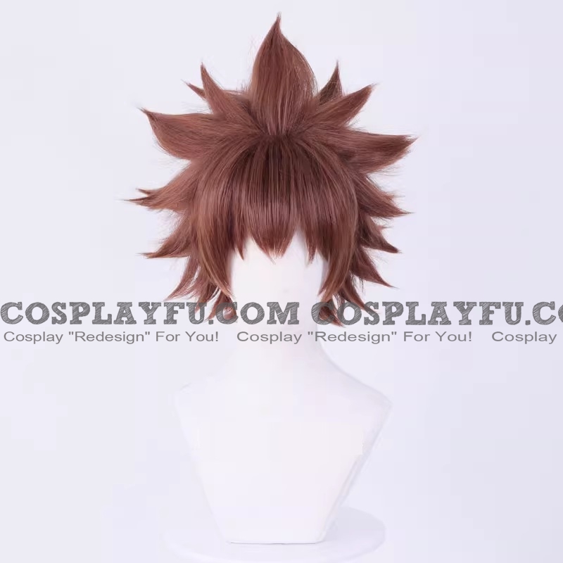 Tsuna Sawada Wig (9753) from Katekyo Hitman Reborn