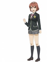 SCHOOLGIRL STRIKERS Sajima Yumi Costume