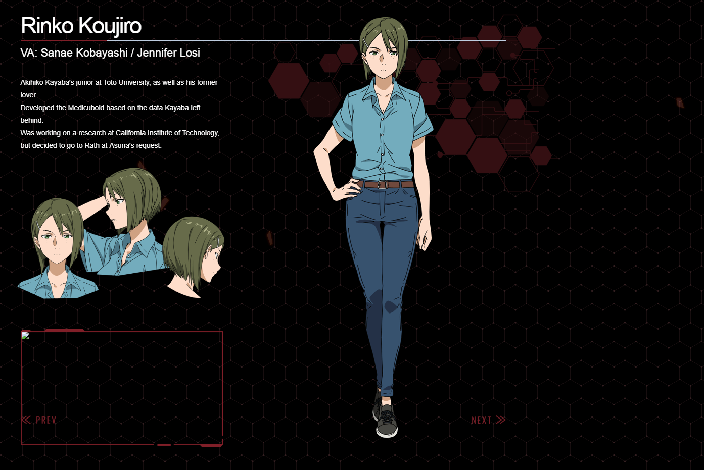 Rinko Koujiro Cosplay Costume (Sword Art Online: Alicization) from Sword Art Online Rinko Koujiro Cosplay Costume (Sword Art Online: Alicization) from Sword Art Online