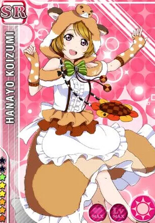 Love Live Hanayo Koizumi Costume (Animal Part 2, Idolized)