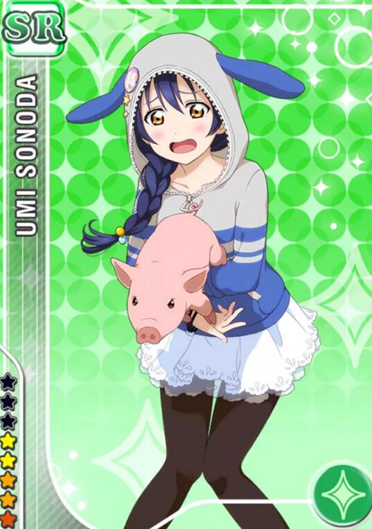 Love Live Umi Sonoda Costume (Animal Part 2)