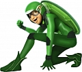 Miraculous Carapace Costume